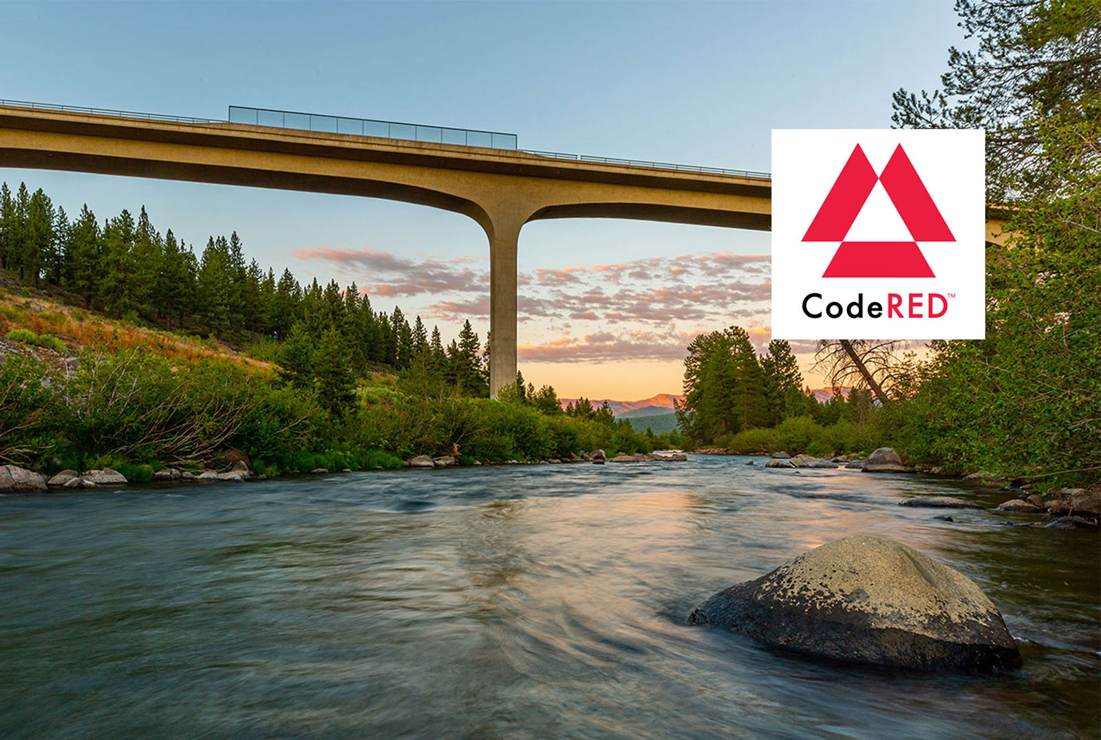 CodeRED™ image